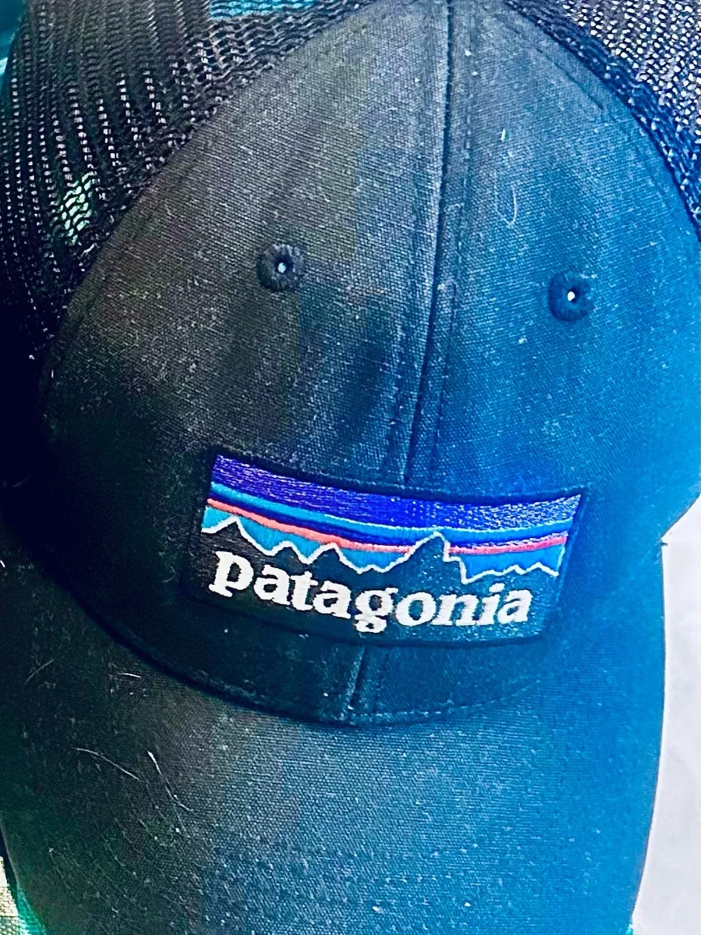Patagonia ultra rare